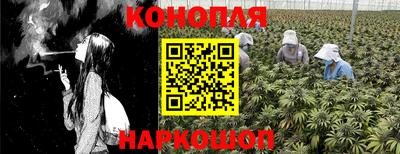 ешки Будённовск