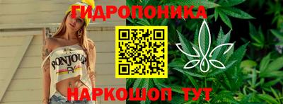 ешки Будённовск