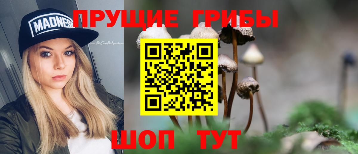 Галлюциногенные грибы Cubensis  где найти наркотики  Вход с VPN  Новосибирск  Псилоцибиновые грибы мухоморы 